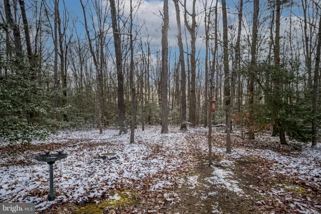 $790,000 | 2407 Butler Road, Beaverdam, VA 23015