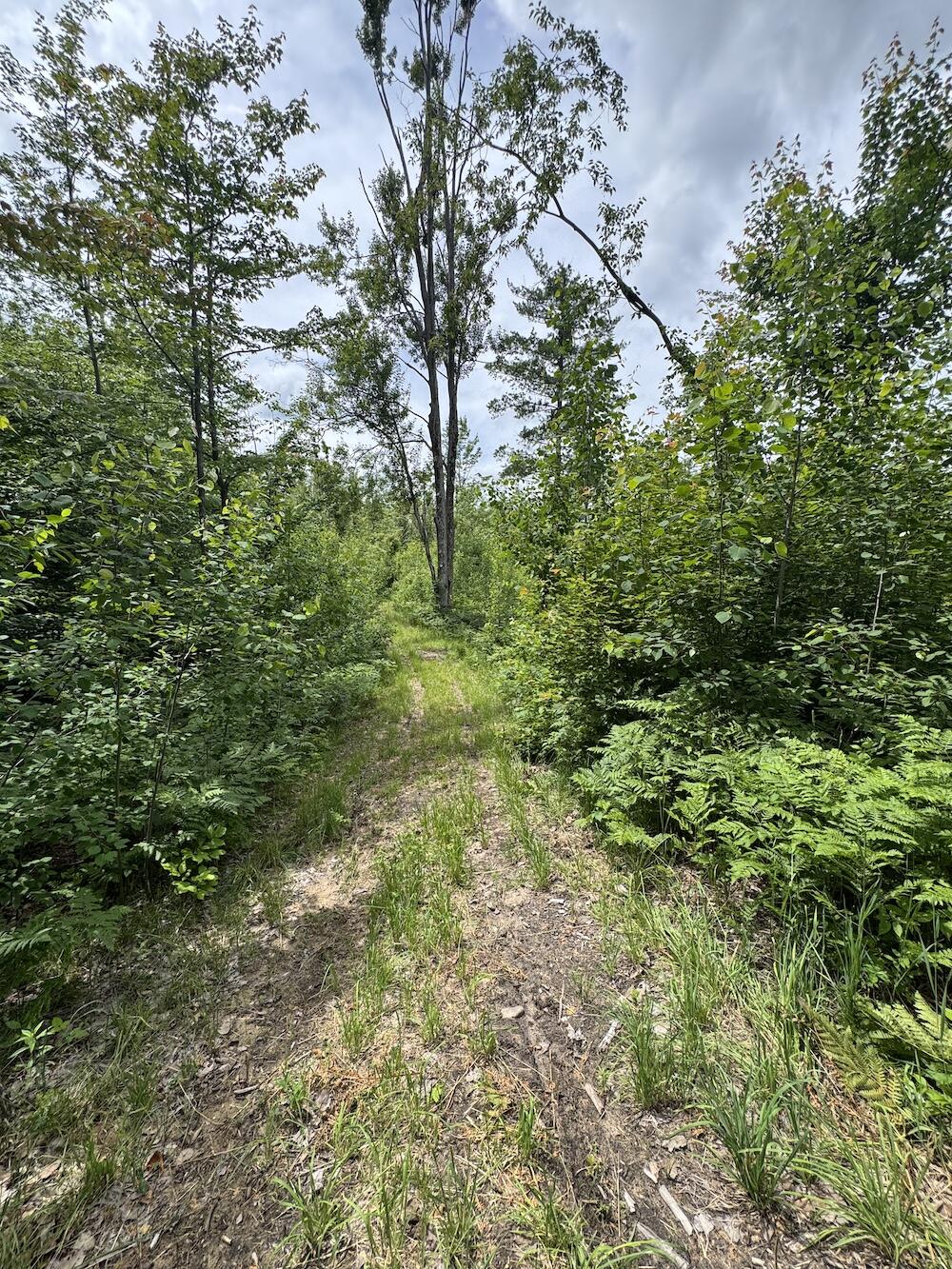 1692 North Galbraith Road Mio, MI 48647 - Photo 80 of 82 IMG_3905