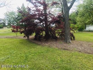 750 Jd Cartrette Road Chadbourn, NC 28431 - Photo 26 of 30 IMG_2532