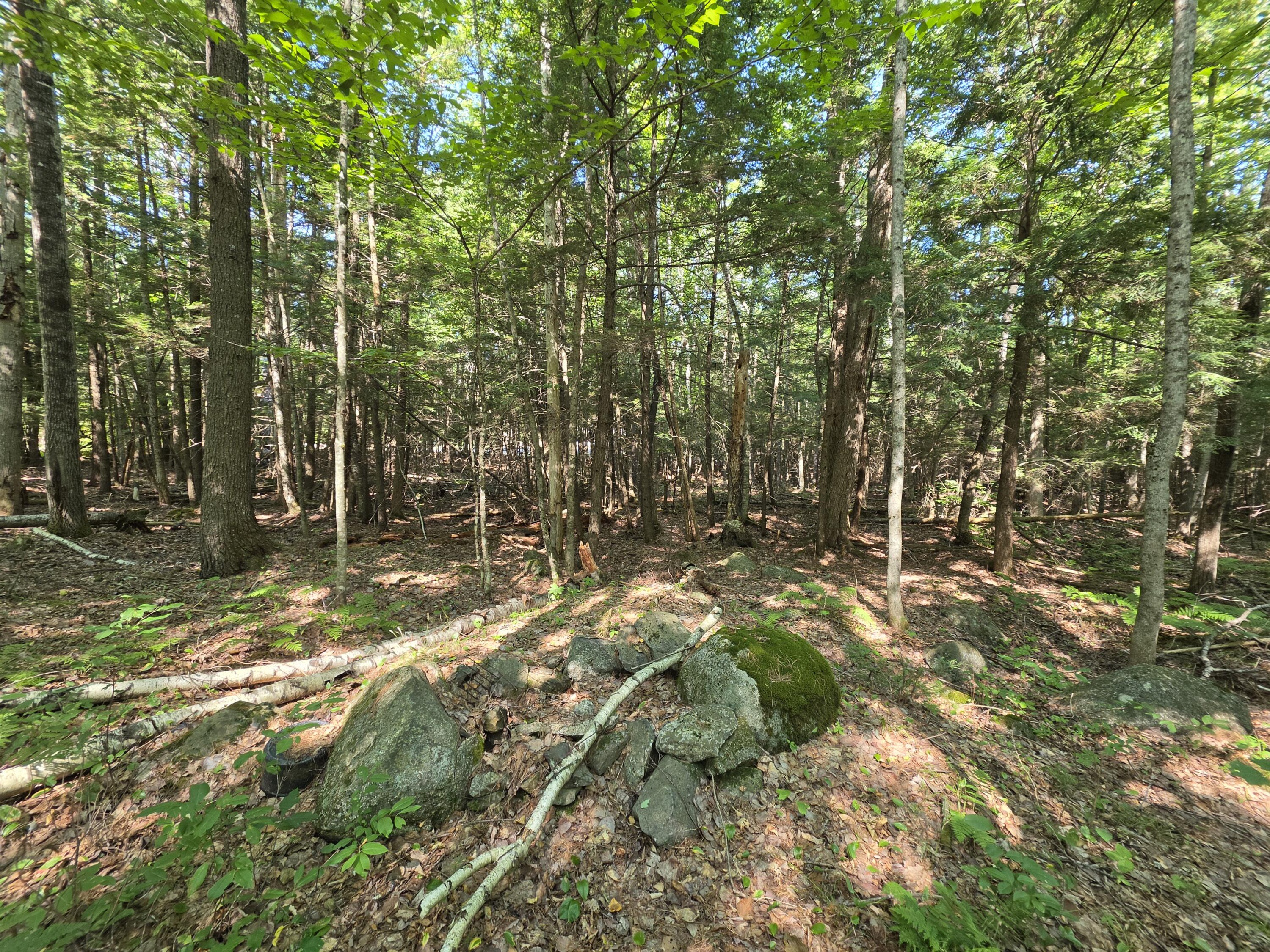 4 Lowell Road Enfield, ME 04493 - Photo 12 of 13 20260812_101931