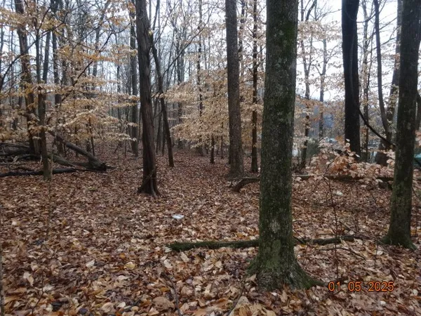 $399,000 | 1882 Jordan Road, Chapmansboro, TN 37035
