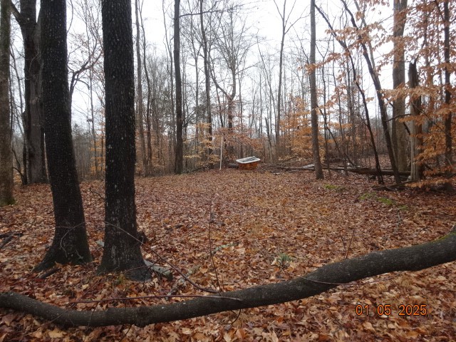 1882 Jordan Road Chapmansboro, TN 37035 - Photo 9 of 12