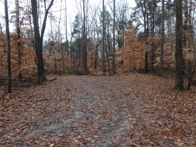 1882 Jordan Road Chapmansboro, TN 37035 - Photo 10 of 12