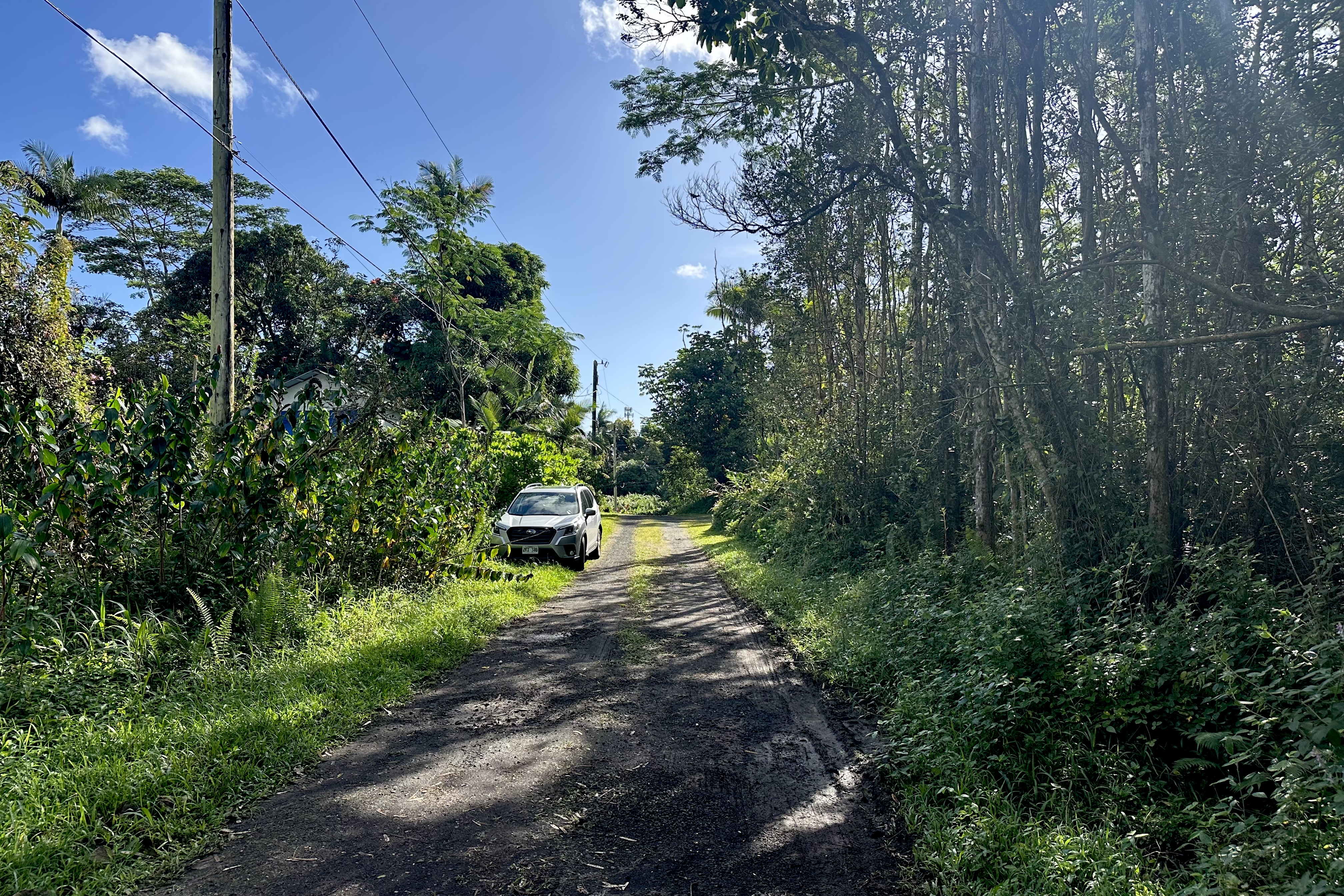 136 Dolphin Lane Pahoa, HI 96778 - Photo 16 of 21 a view of a park with large trees