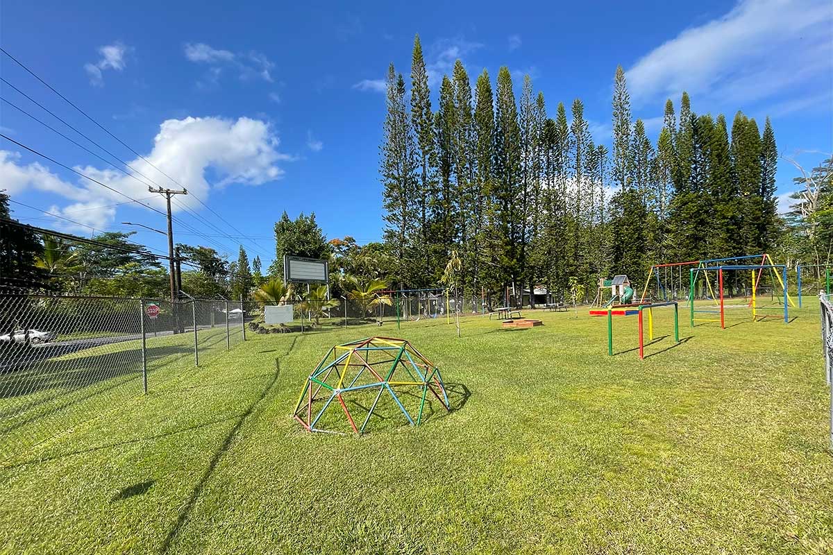 136 Dolphin Lane Pahoa, HI 96778 - Photo 19 of 21 a view of a playground with basketball court