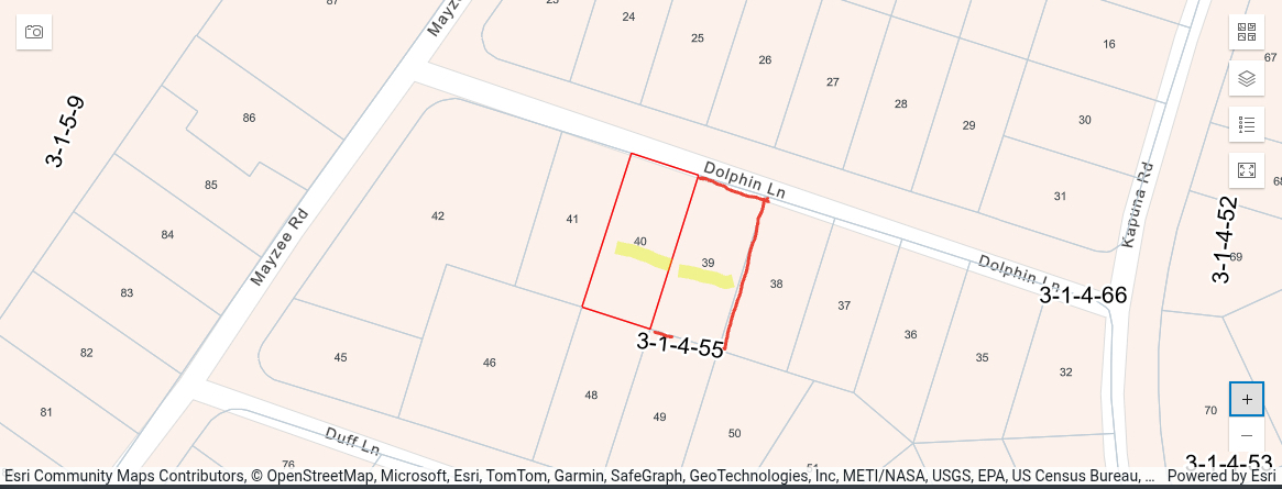 136 Dolphin Lane Pahoa, HI 96778 - Photo 2 of 21