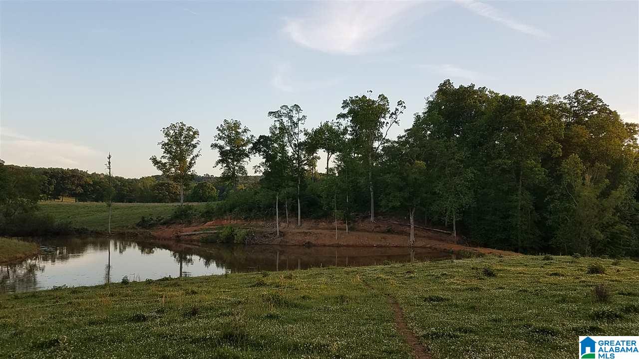 31 County Road Ashland, AL 36251 - Photo 21 of 38