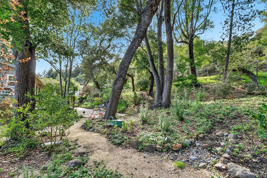 2907 Granite Creek Road Scotts Valley, CA 95066 - Photo 52 of 68 a backyard of a house with lots of green space