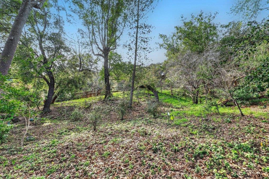 2907 Granite Creek Road Scotts Valley, CA 95066 - Photo 53 of 68 a view of a forest with trees in the background