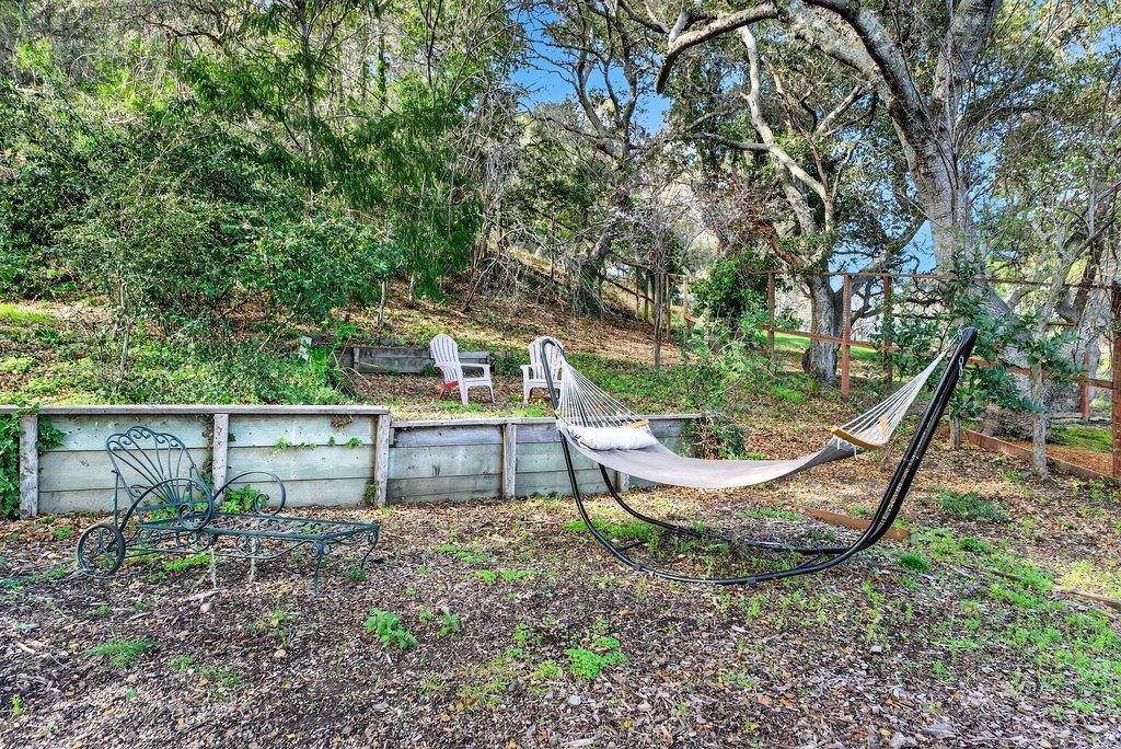 2907 Granite Creek Road Scotts Valley, CA 95066 - Photo 56 of 68 a view of a backyard with plants and large tree