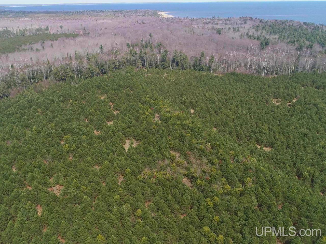 40-acres Gierke Road Manistique, MI 49854 - Photo 24 of 39