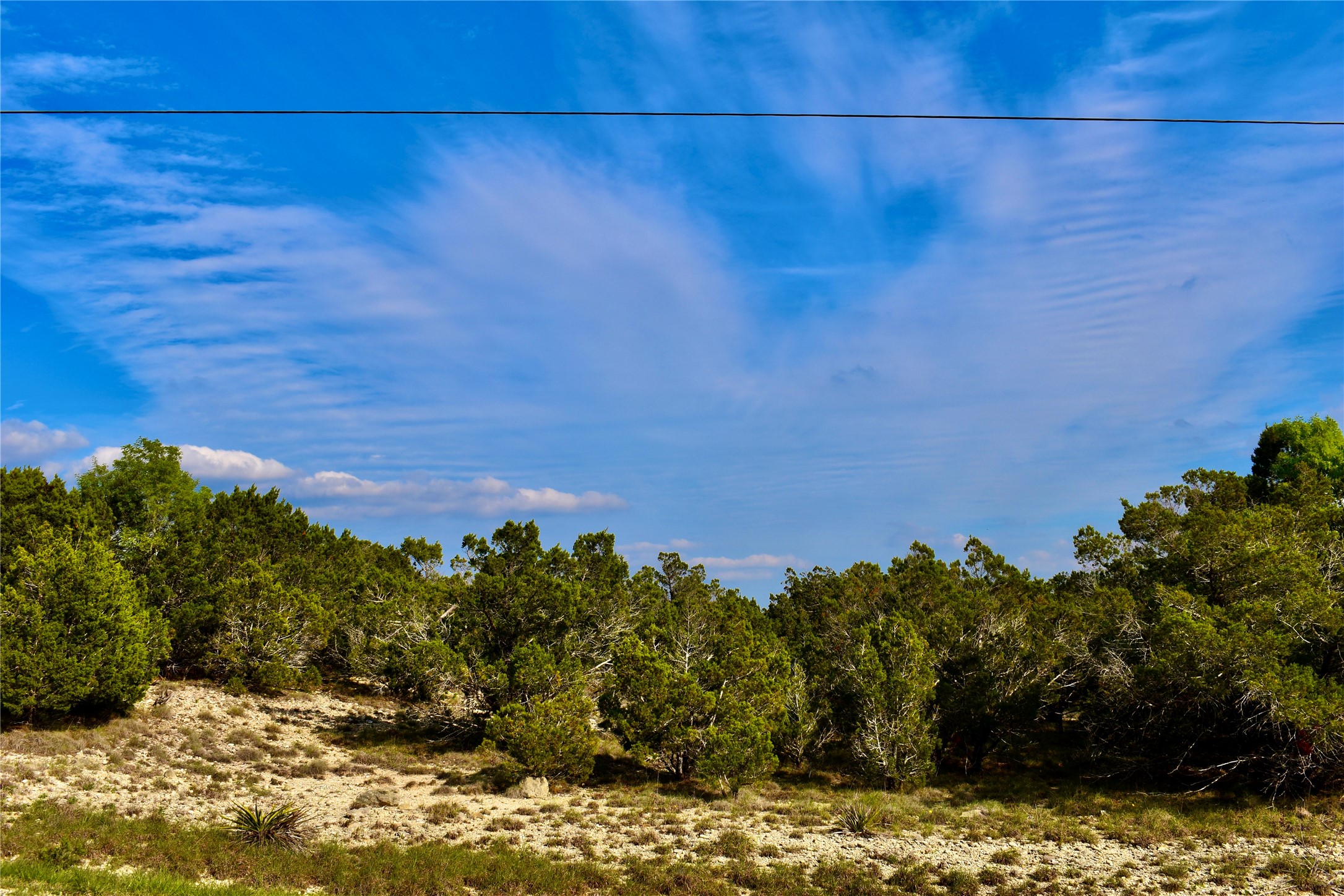 535 Canyon Rock Spring Branch, TX 78070 - Photo 3 of 8 The view from the street provides ample mature trees to give you privacy and stillness. The Hill Country skies are endless and the stars are so visible at night. A huge contrast from city living skies...
