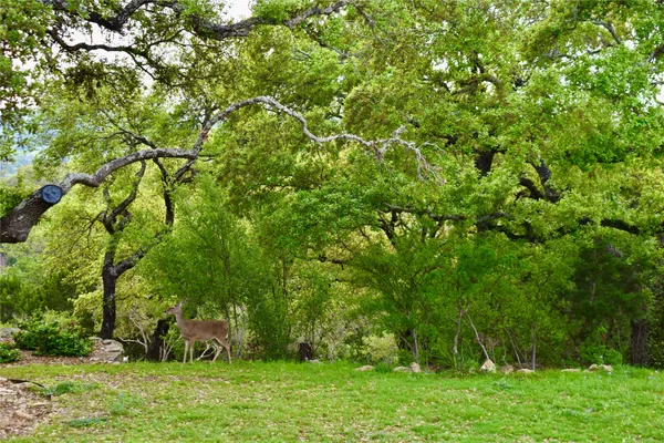 a view of backyard with green space