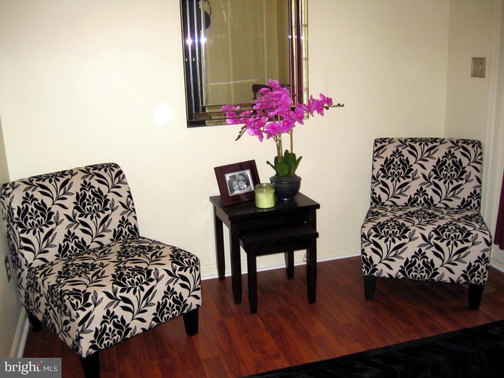 159 1/2 Wesley Road Quarryville, PA 17566 - Photo 25 of 43 a living room with a rug wooden floor and a potted plant