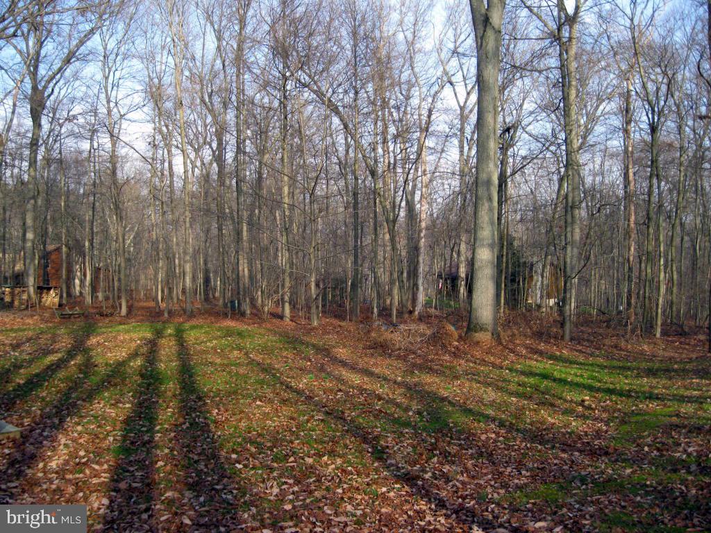 159 1/2 Wesley Road Quarryville, PA 17566 - Photo 31 of 43 a view of backyard with green space