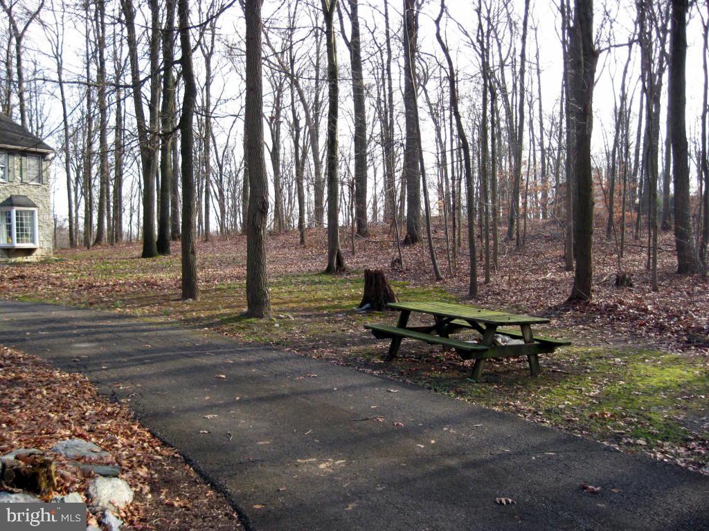 159 1/2 Wesley Road Quarryville, PA 17566 - Photo 34 of 43 a view of a park with large trees