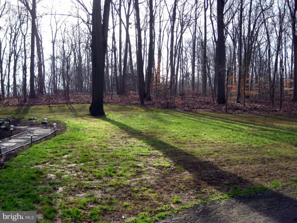 159 1/2 Wesley Road Quarryville, PA 17566 - Photo 35 of 43 a view of backyard with tree