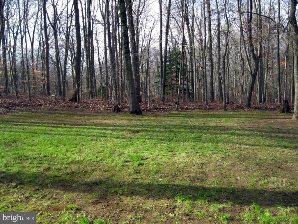 159 1/2 Wesley Road Quarryville, PA 17566 - Photo 37 of 43 a view of a yard with large trees