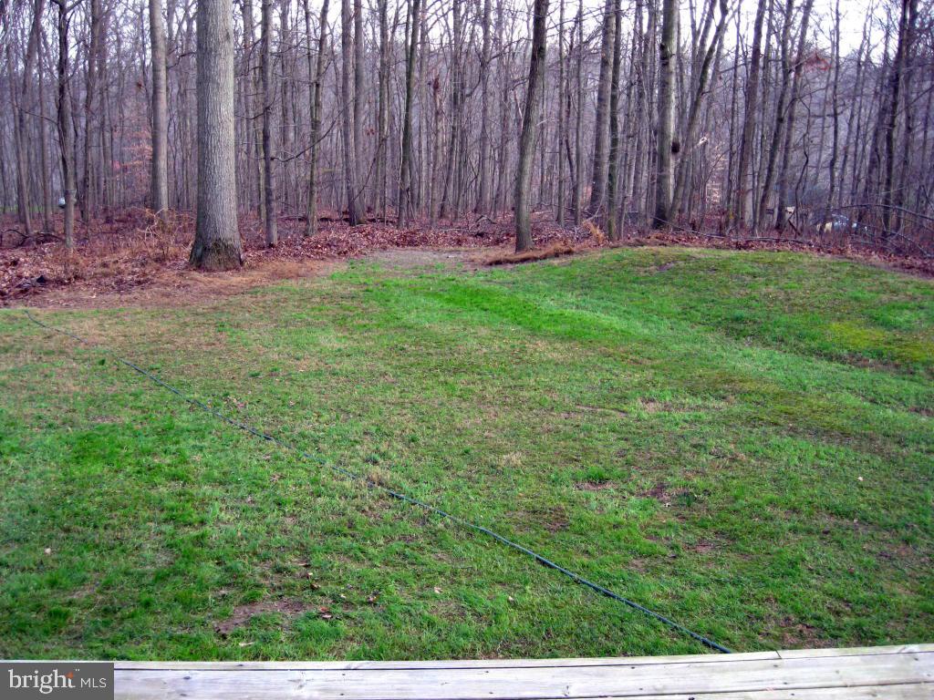 159 1/2 Wesley Road Quarryville, PA 17566 - Photo 38 of 43 a view of a yard with of a house