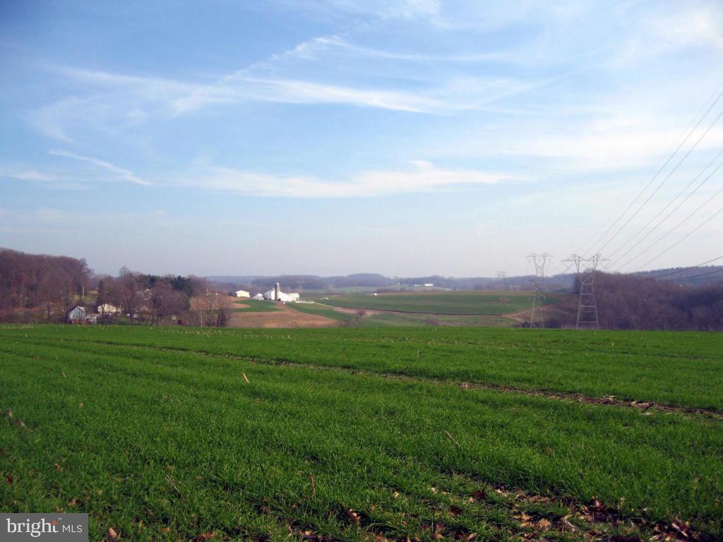 159 1/2 Wesley Road Quarryville, PA 17566 - Photo 40 of 43 a view of a grassy field with mountains in the background