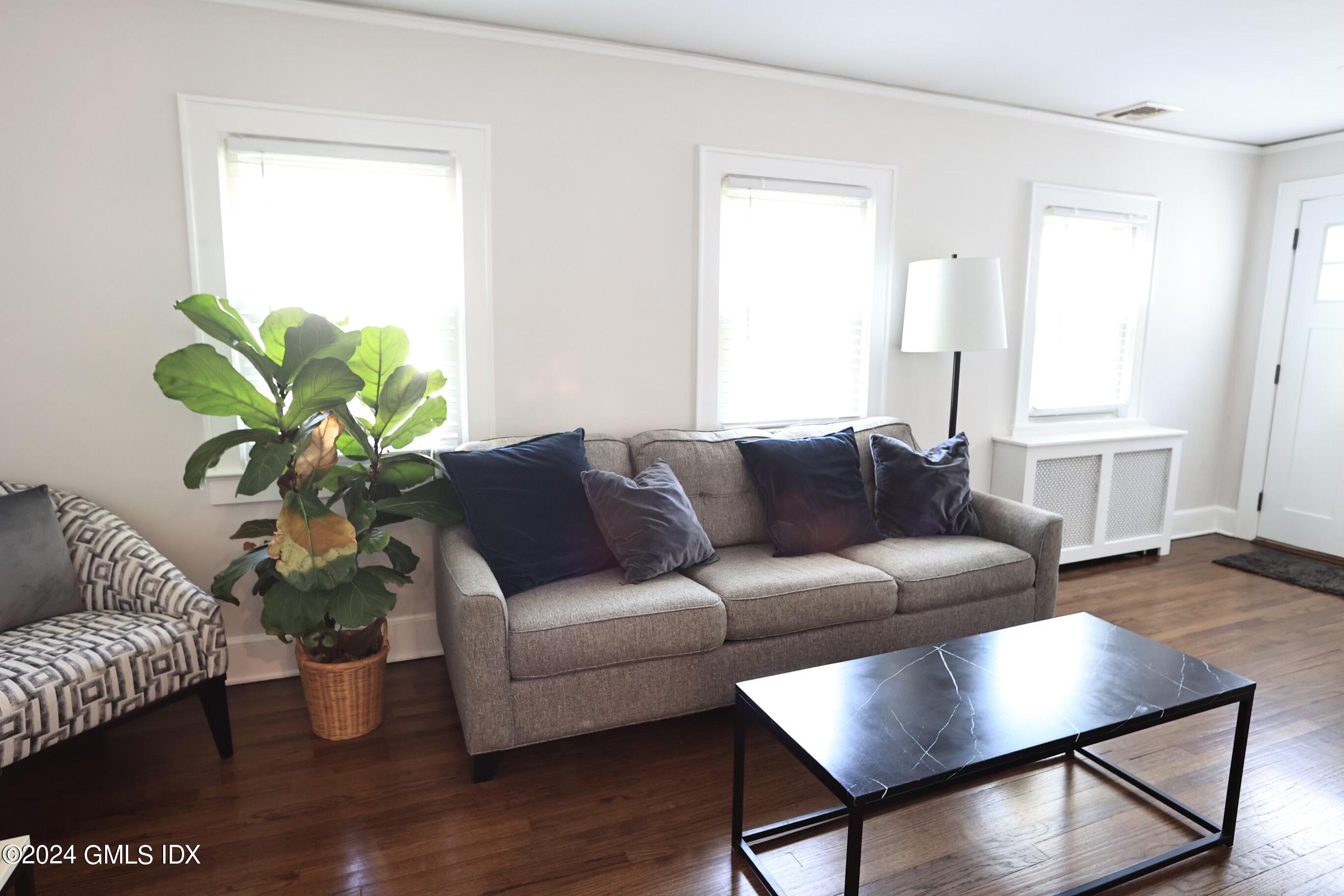 4 Silver Street, Unit B Greenwich, CT 06830 - Photo 5 of 24 a living room with furniture and a potted plant