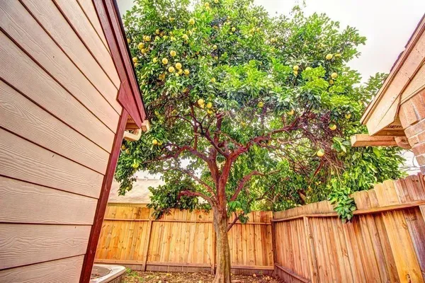$1,900 | 11818 Plumpoint Drive, Houston, TX 77099