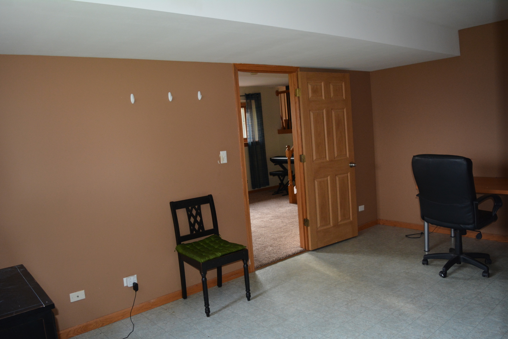 505 Bison Road Oswego, IL 60543 - Photo 13 of 15