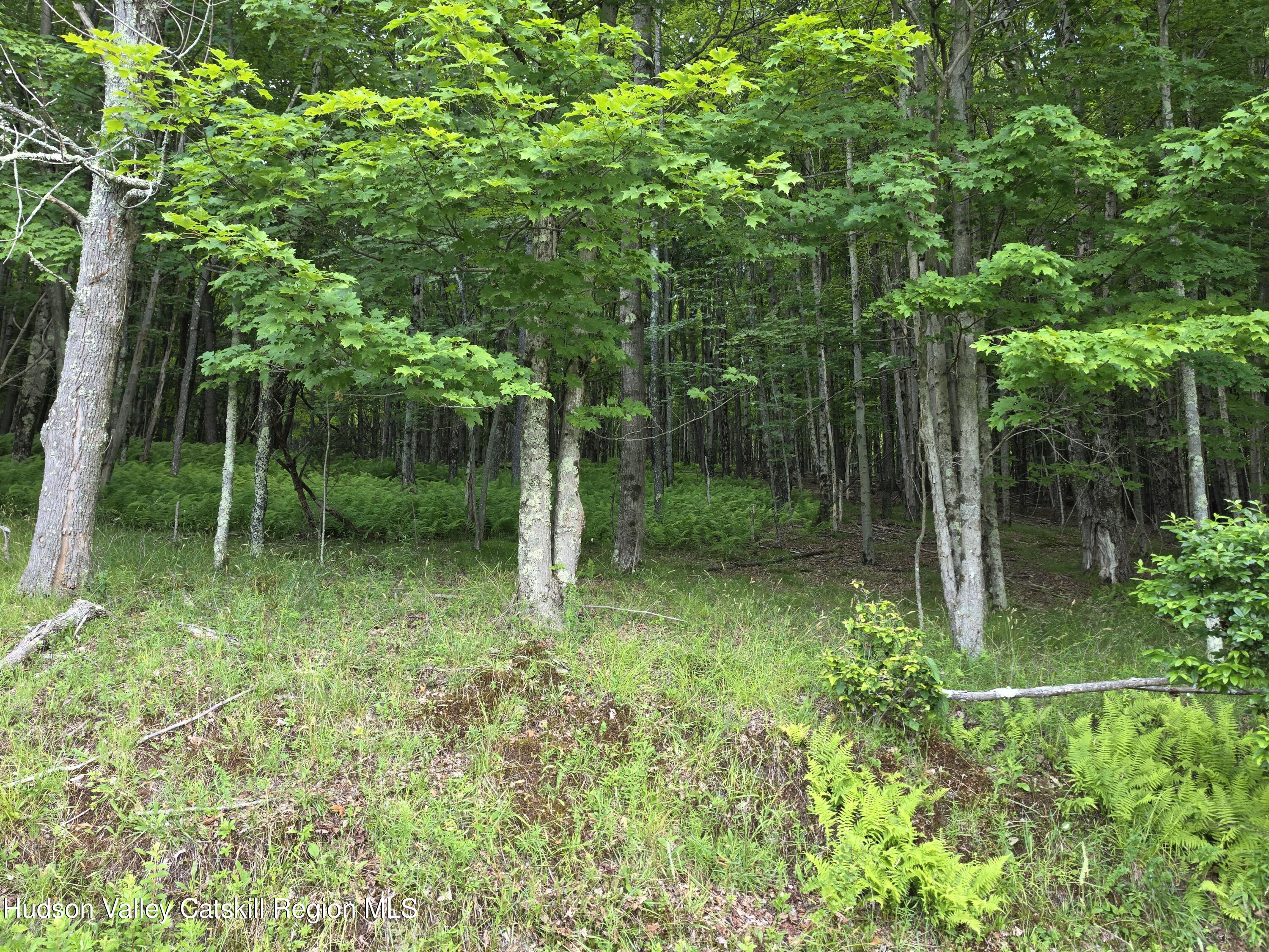 0 Timberwolf Road Liberty, NY 12754 - Photo 16 of 27 20260629_154950 a