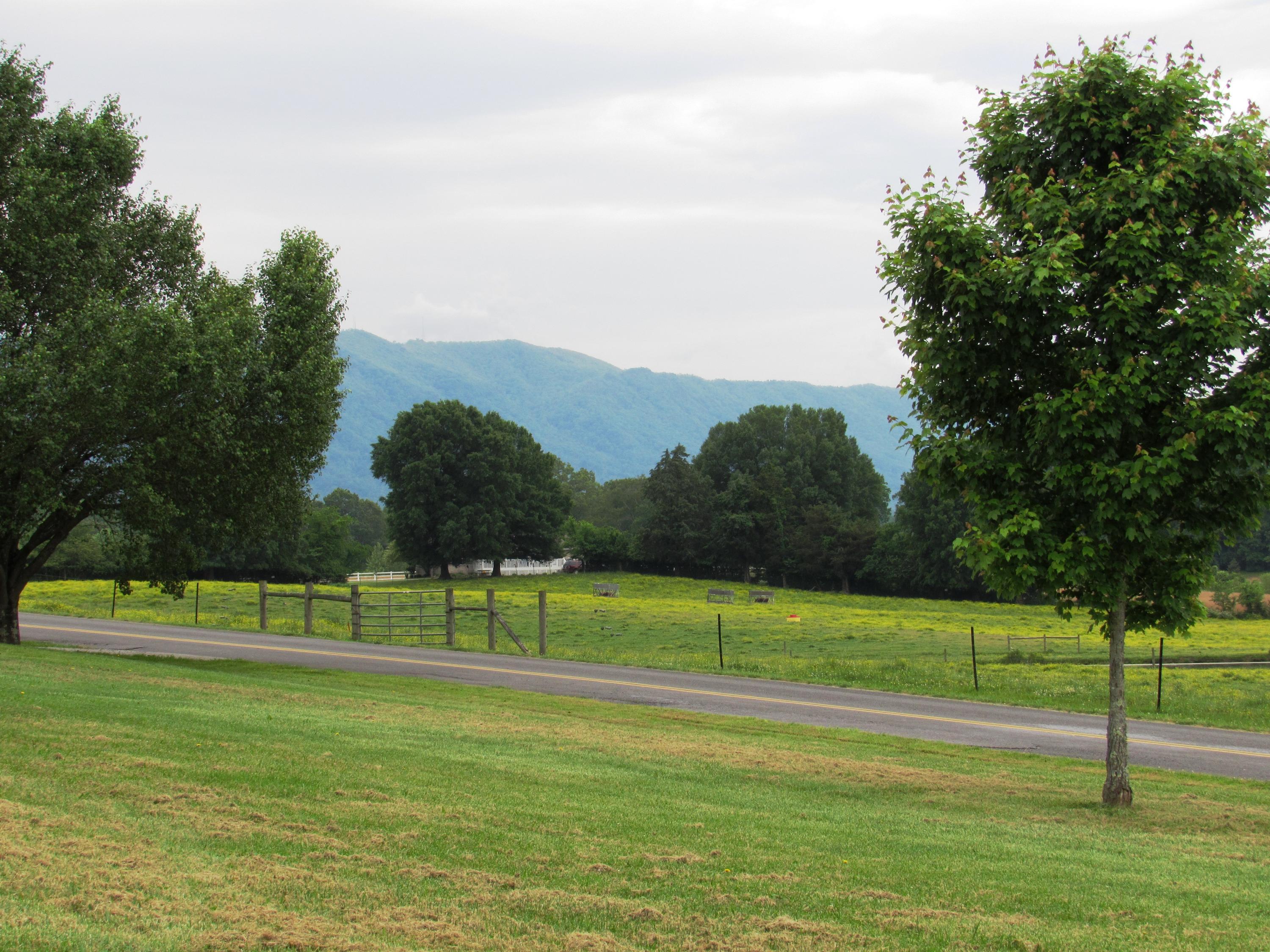 2960 Beecarter Road Dandridge, TN 37725 - Photo 25 of 29 MOUNTAIN & COUNTRYSIDE VIEWS