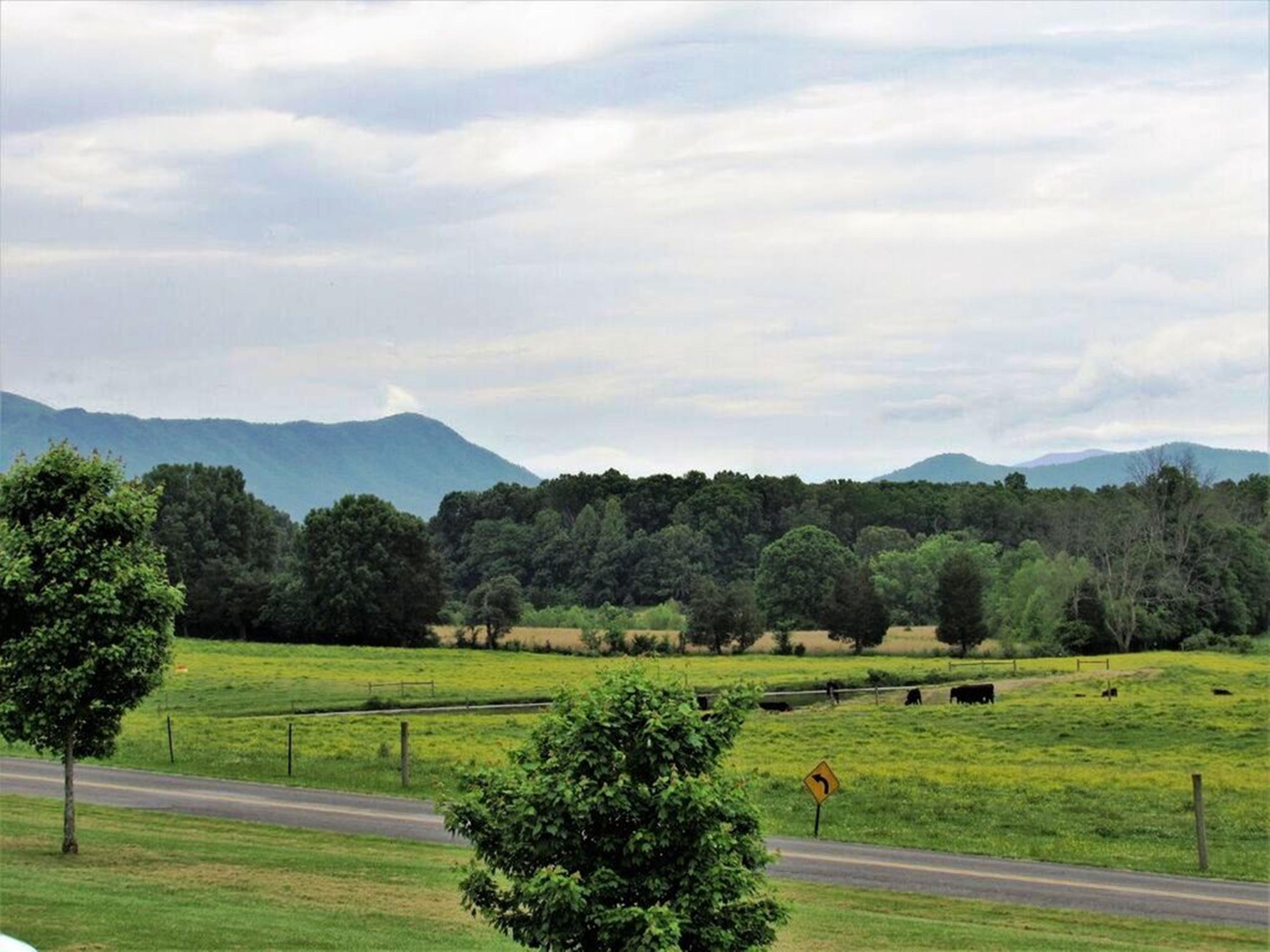 2960 Beecarter Road Dandridge, TN 37725 - Photo 26 of 29 CHRISTIE-MTNS.
