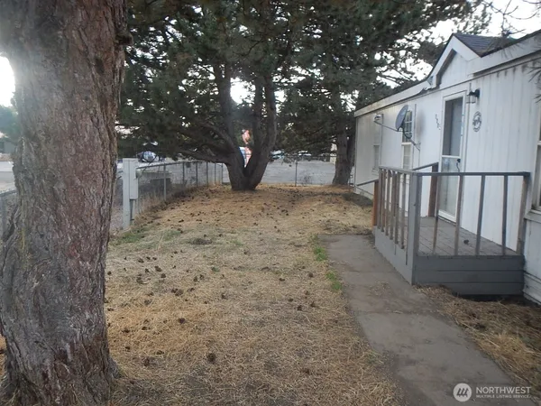 a view of a yard with large trees