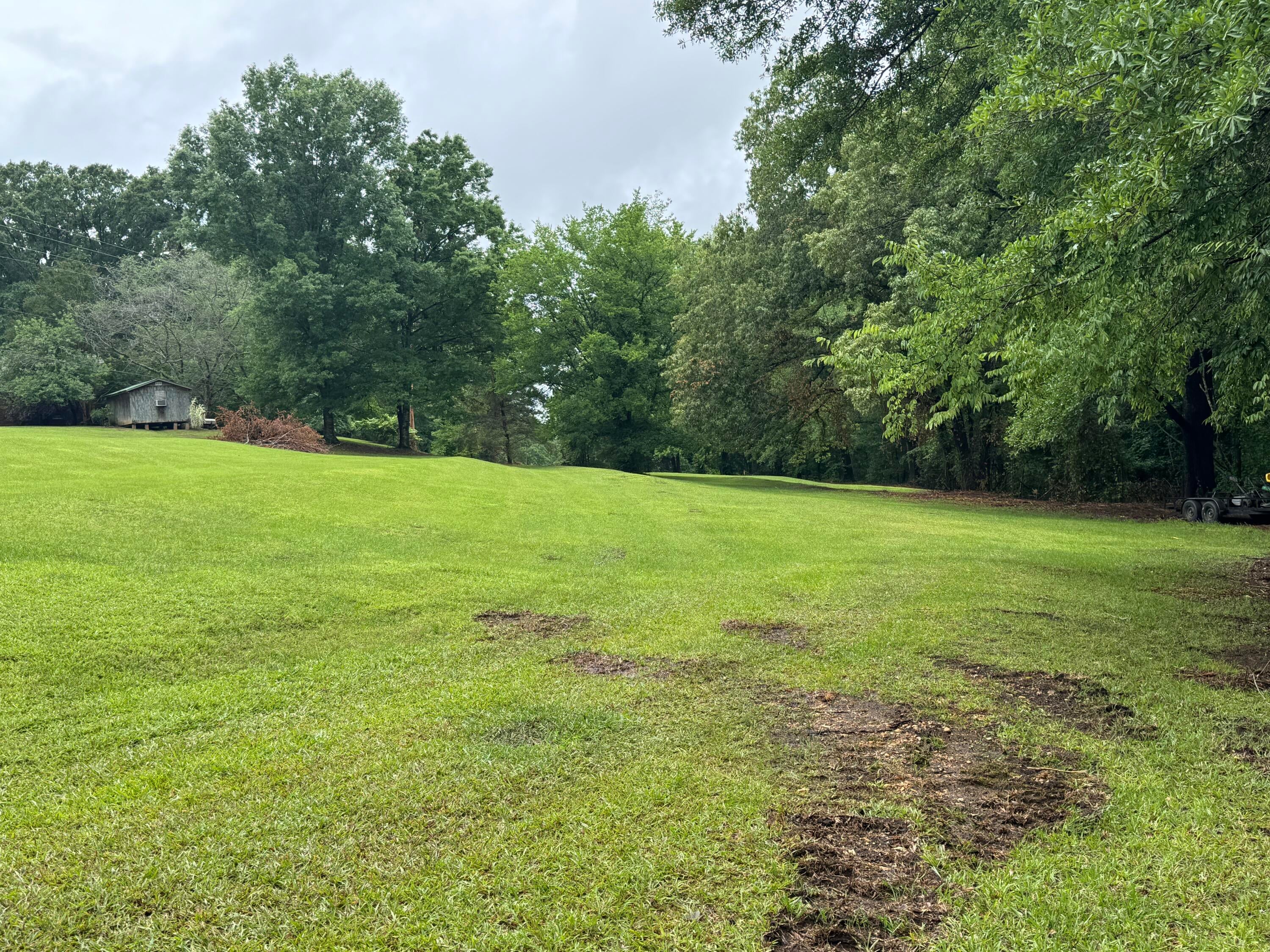 2535 Joe Wheeler Brown Road Fulton, MS 38843 - Photo 44 of 46 43 Right Side of Home Field