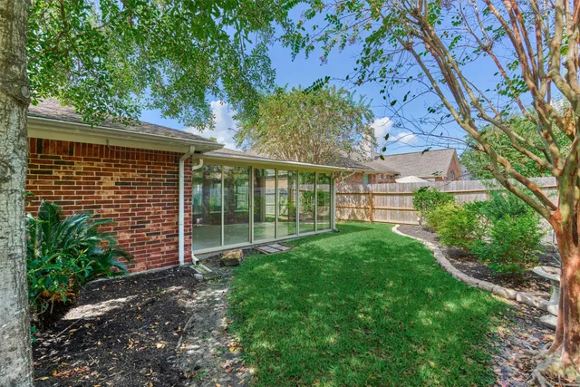 a view of a backyard with plants and large tree