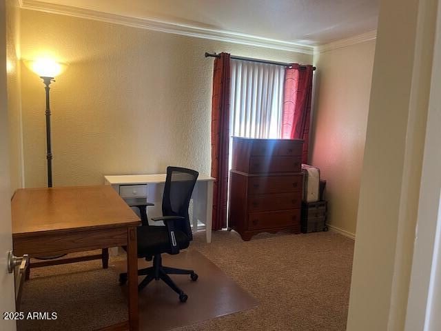 4107 East Bloomfield Road Phoenix, AZ 85032 - Photo 6 of 9 IMG_3058