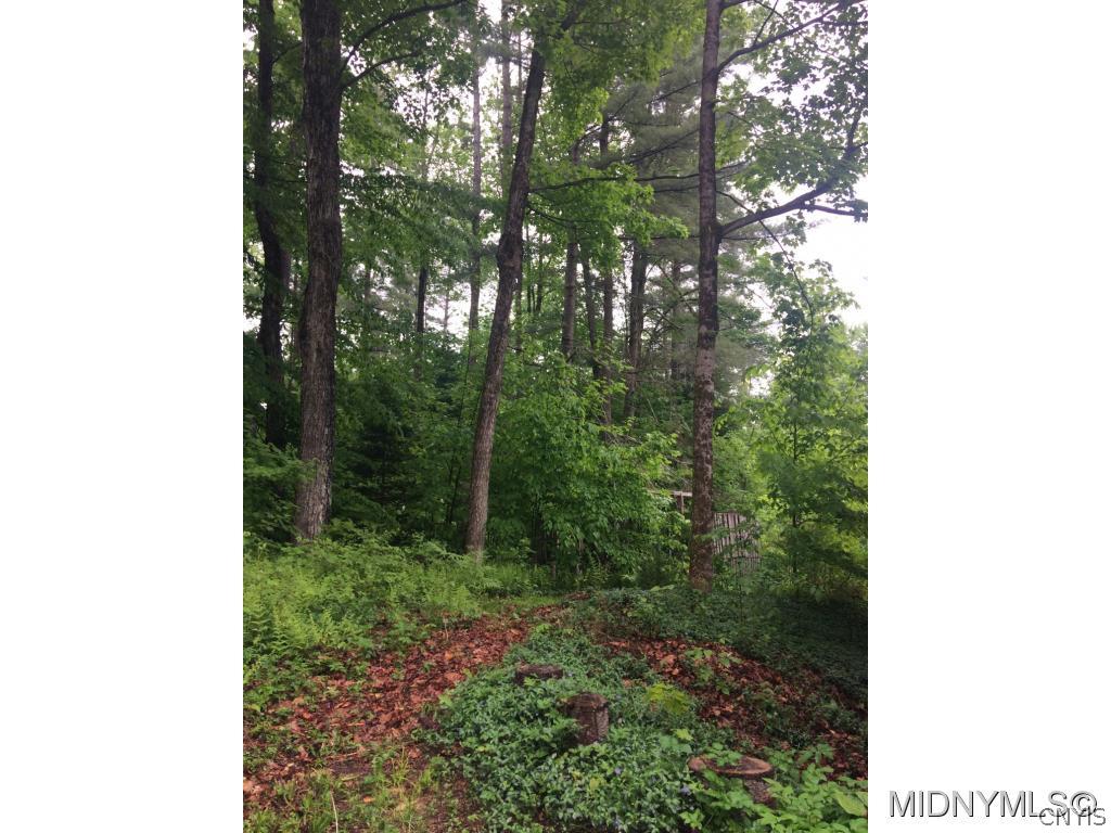 144 Schaffer Road Remsen, NY 13438 - Photo 5 of 19 Gallery Image 5