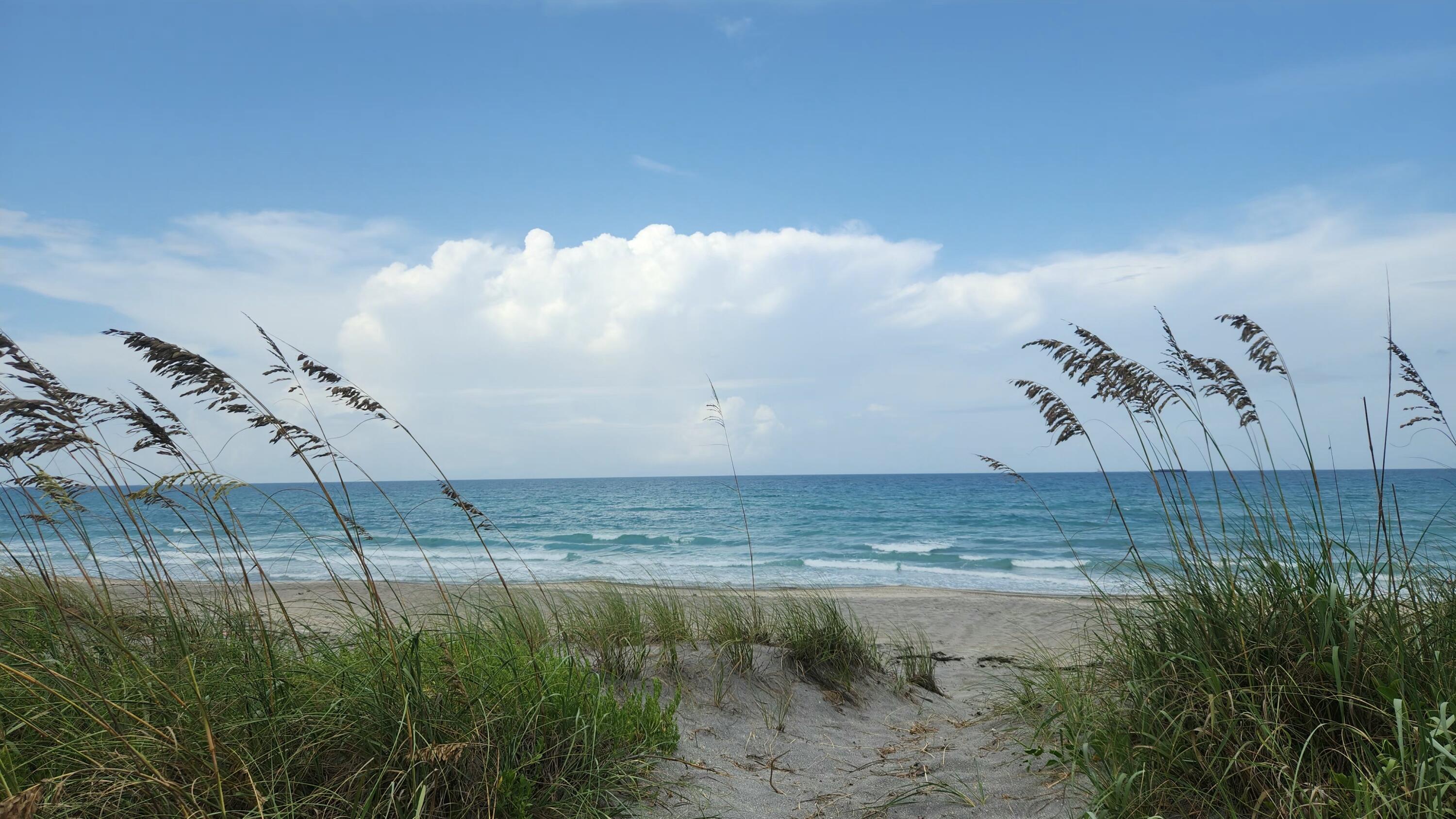 115 Olympus Way Jupiter, FL 33477 - Photo 3 of 44 Jupiter Beach