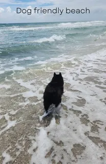 $2,750,000 | 115 Olympus Way, Jupiter, FL 33477