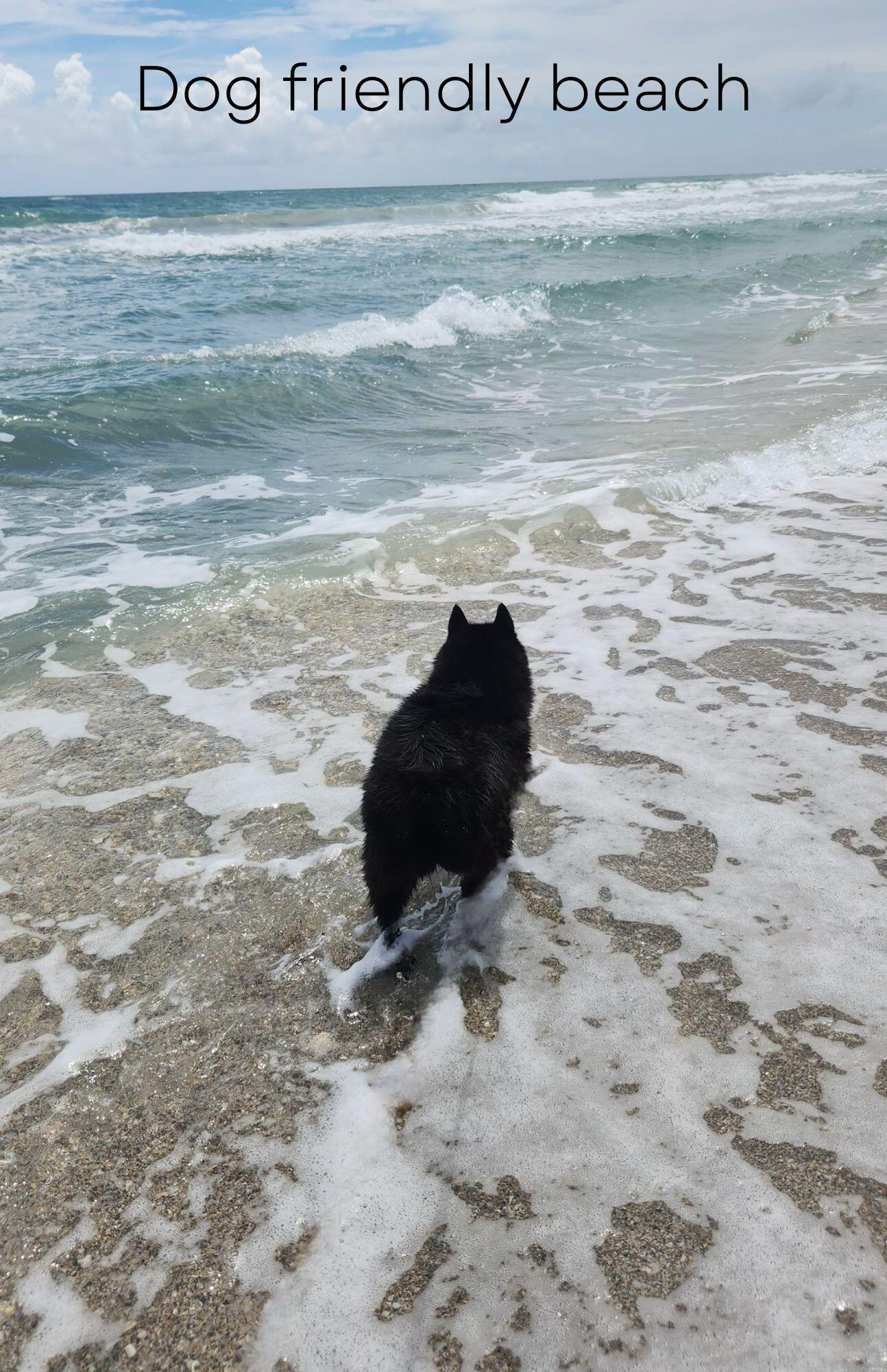 115 Olympus Way Jupiter, FL 33477 - Photo 32 of 44 Dog Friendly Beach