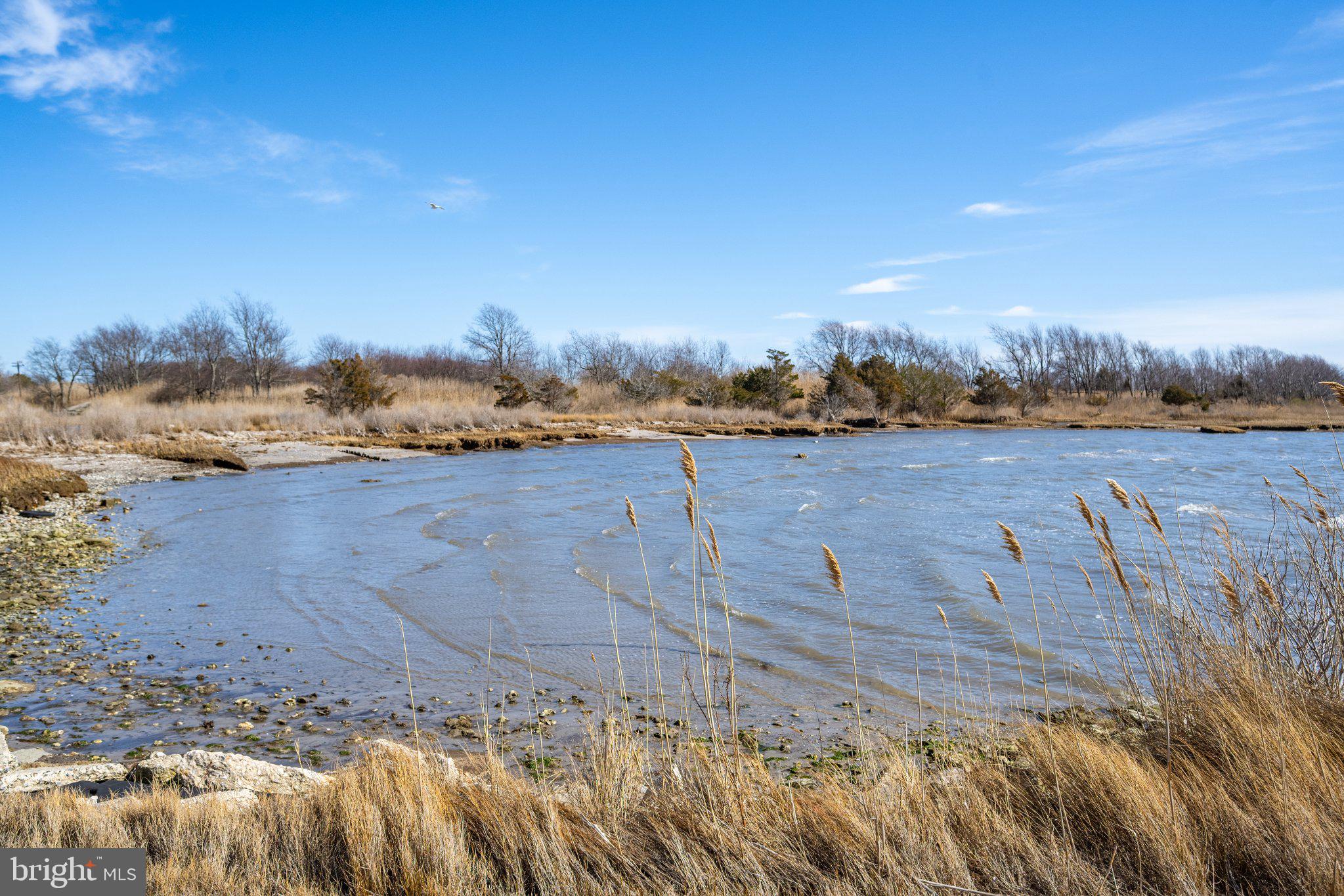 1 LaVallette Road Crisfield, MD 21817 - Photo 84 of 95 Serene waters meet golden grasses.