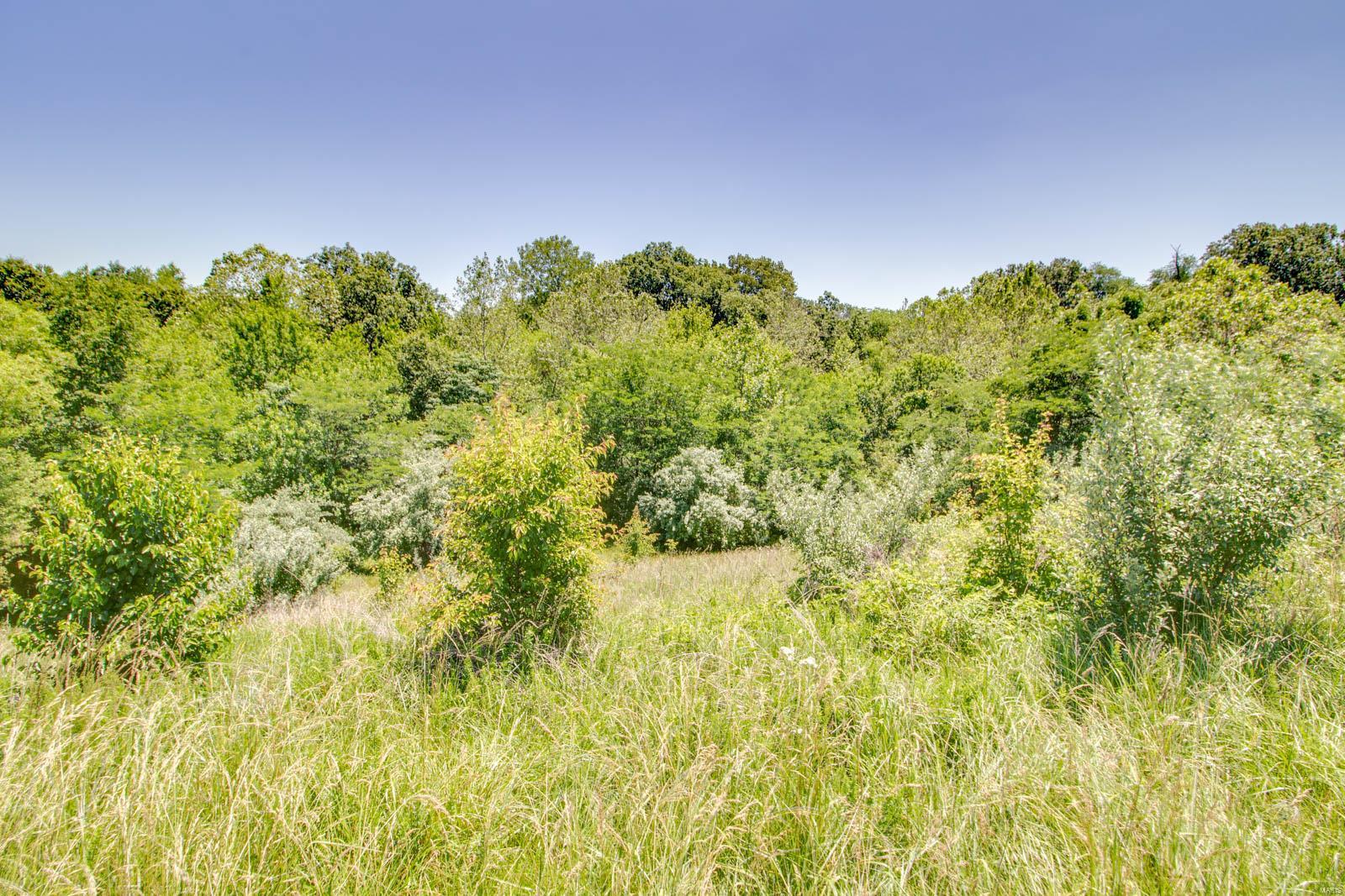 5735 Schmidt Road Brighton, IL 62012 - Photo 68 of 91