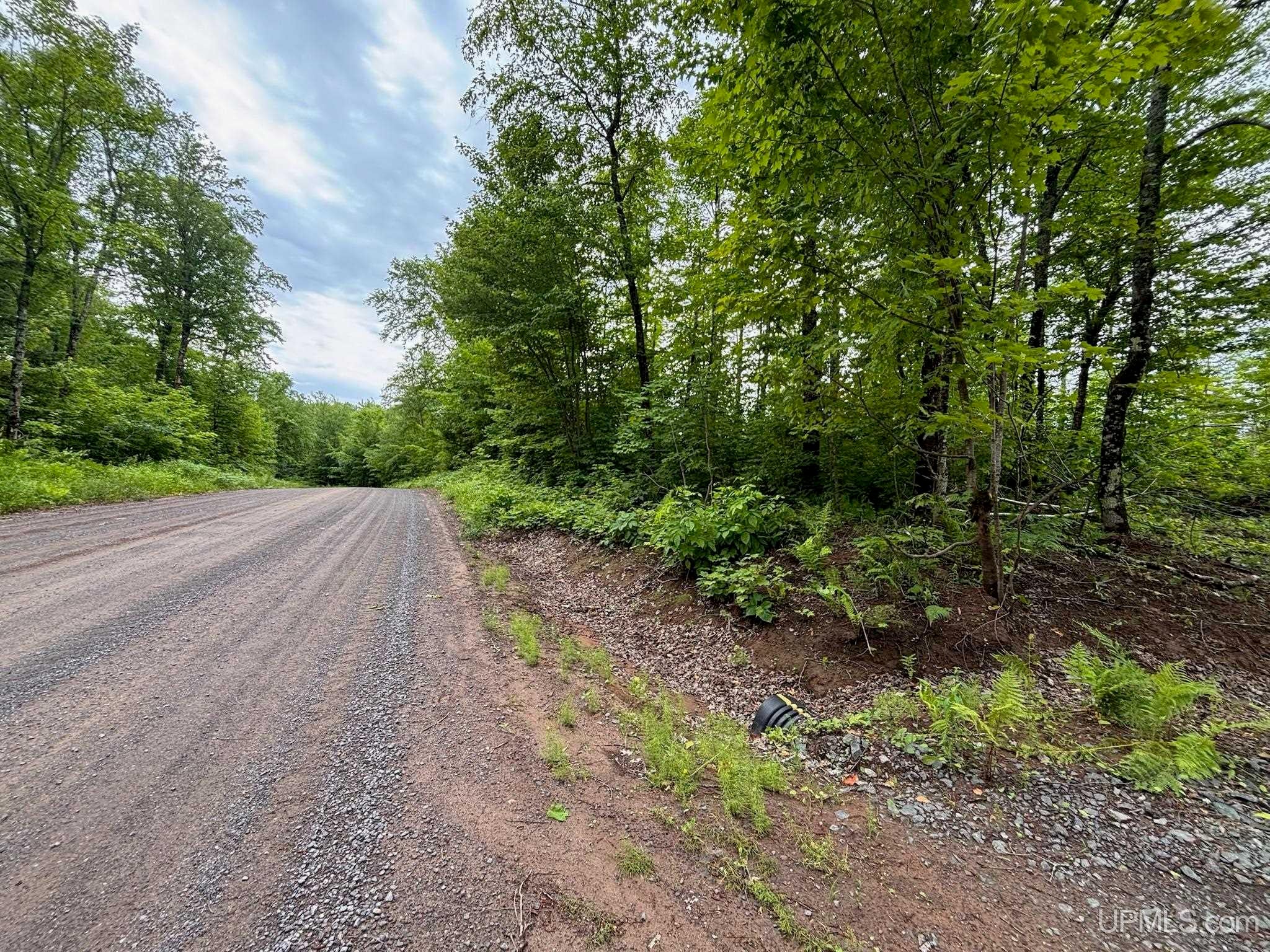 Tbd Pike Lake Road Toivola, MI 49965 - Photo 5 of 41 Gallery Image 5