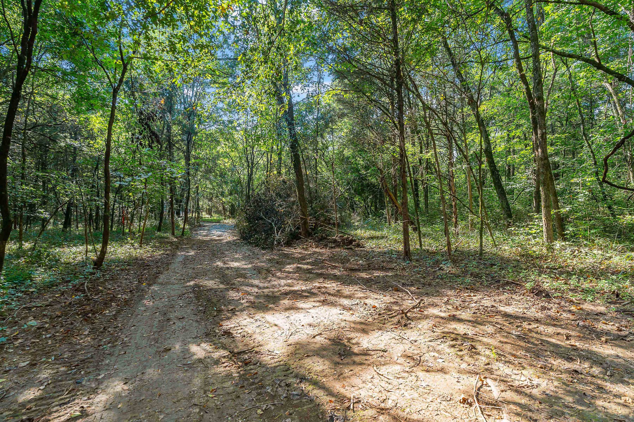11536 Cainsville Road Lebanon, TN 37090 - Photo 1 of 21 Gallery Image 1