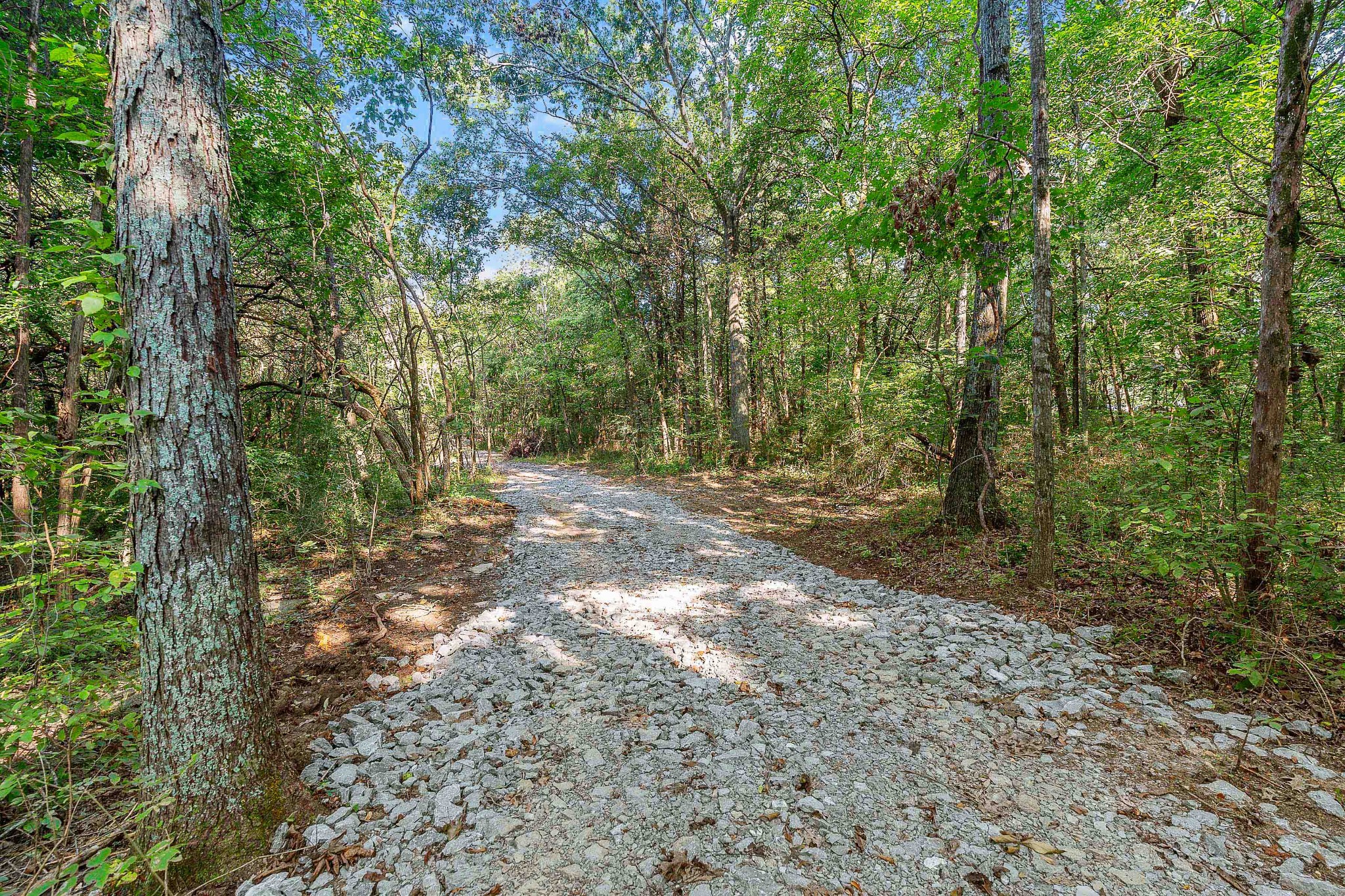 11536 Cainsville Road Lebanon, TN 37090 - Photo 11 of 21 Gallery Image 11