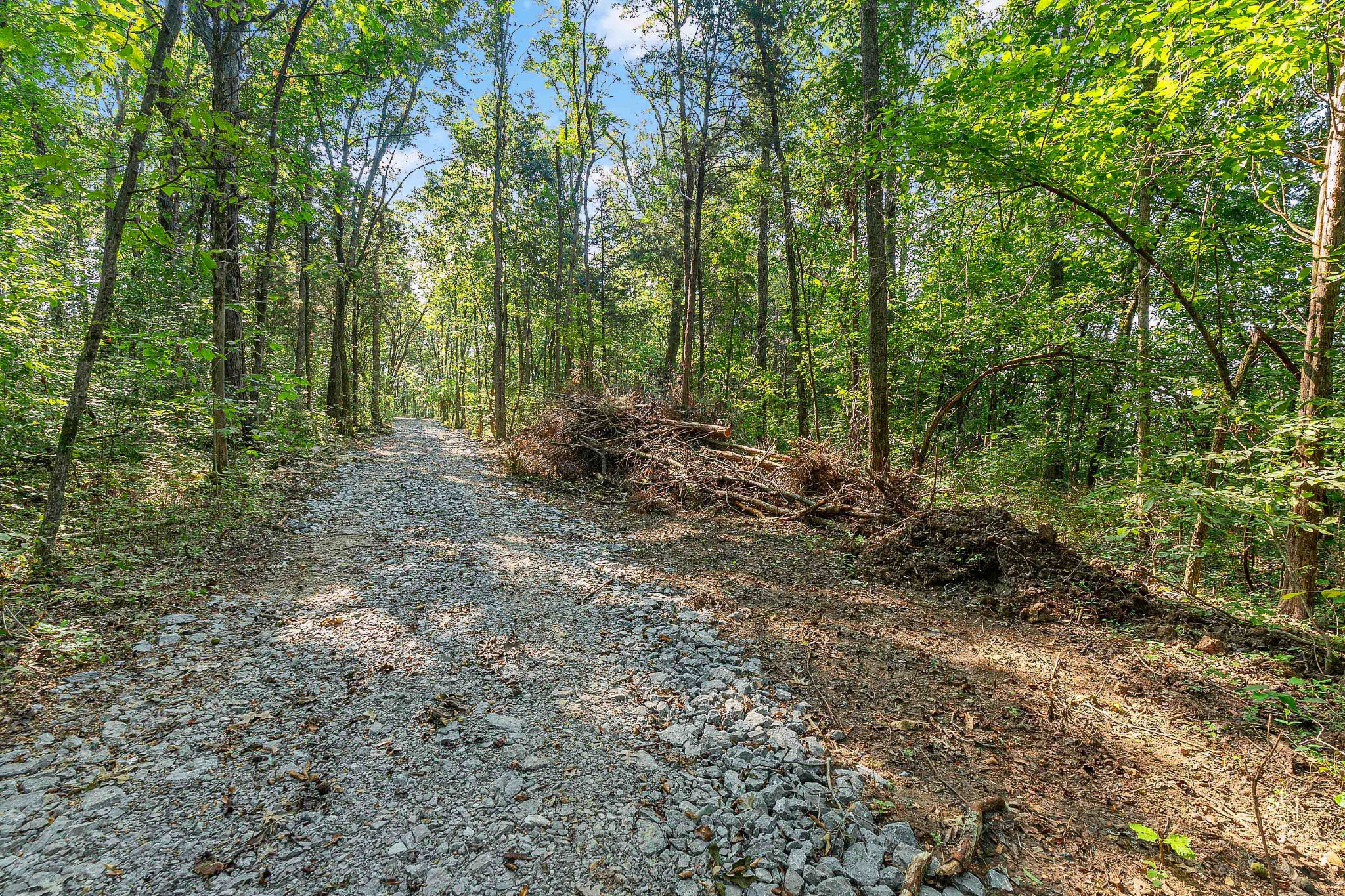 11536 Cainsville Road Lebanon, TN 37090 - Photo 12 of 21 Gallery Image 12