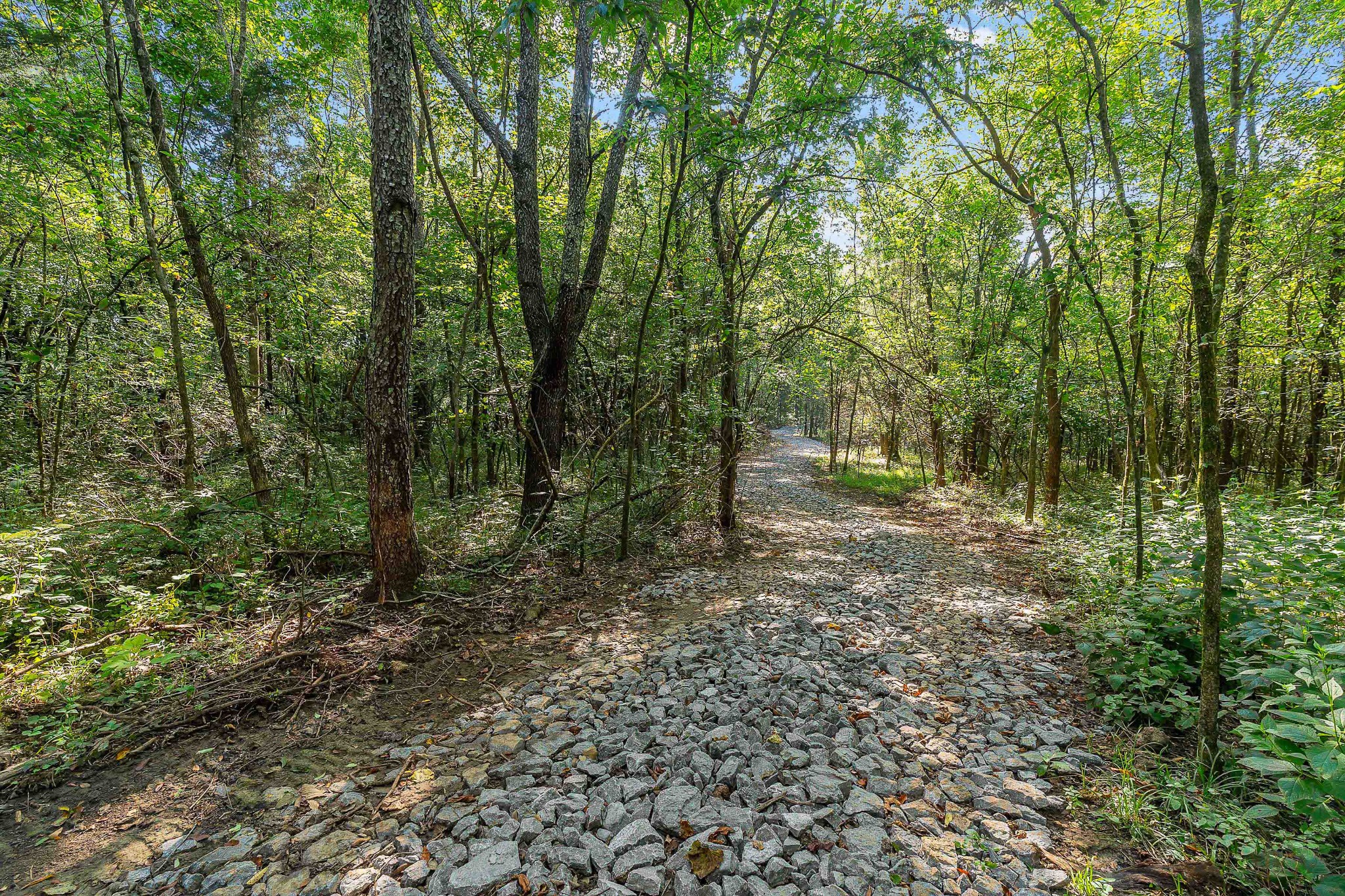 11536 Cainsville Road Lebanon, TN 37090 - Photo 2 of 21 Gallery Image 2