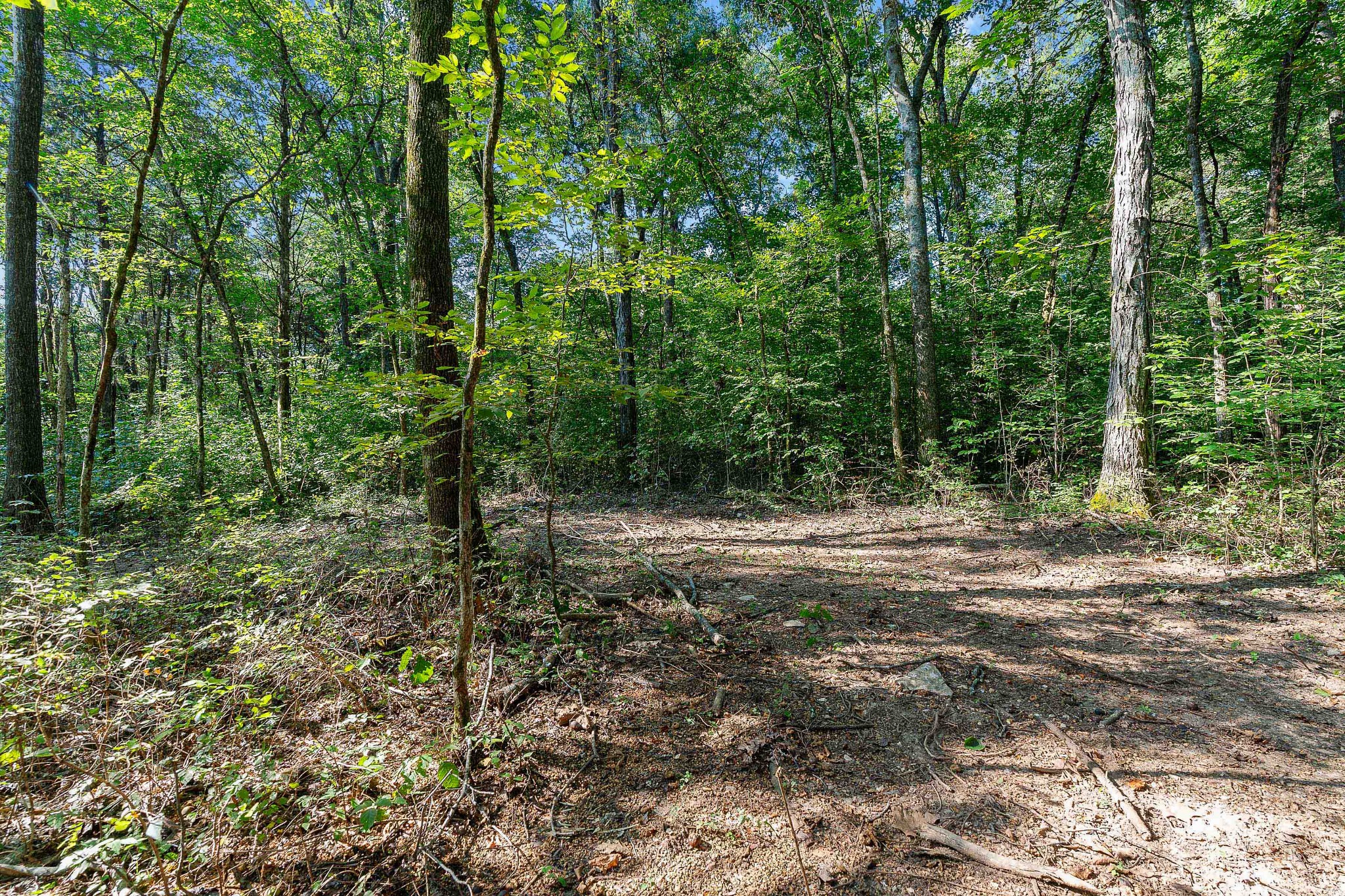11536 Cainsville Road Lebanon, TN 37090 - Photo 6 of 21 Gallery Image 6