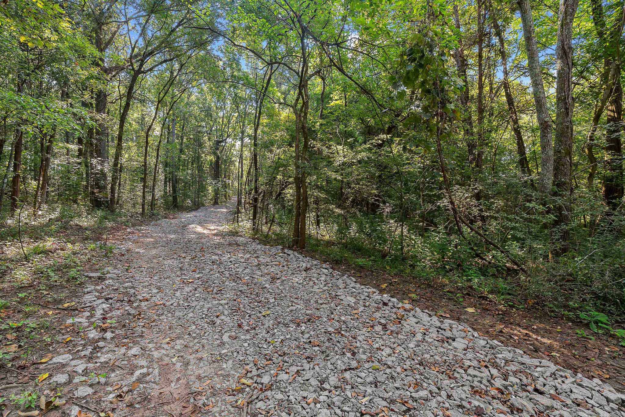 11536 Cainsville Road Lebanon, TN 37090 - Photo 7 of 21 Gallery Image 7