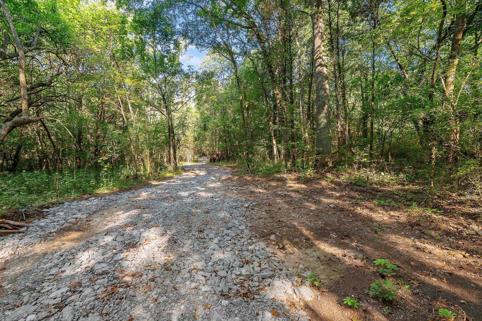 11536 Cainsville Road Lebanon, TN 37090 - Photo 8 of 21 Gallery Image 8