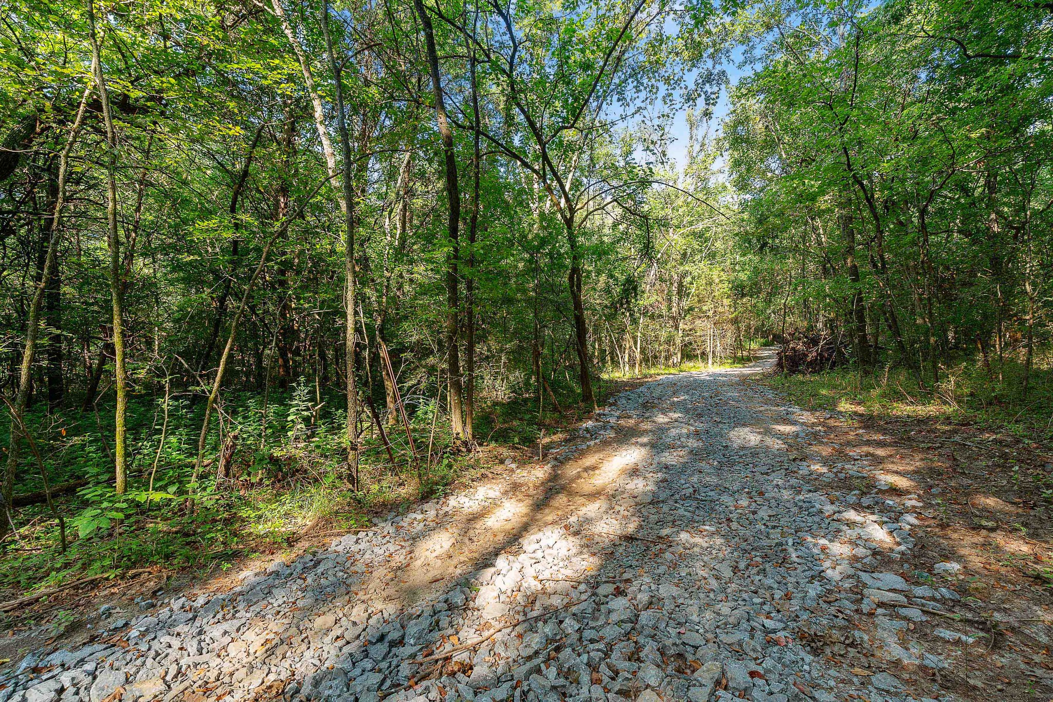 11536 Cainsville Road Lebanon, TN 37090 - Photo 9 of 21 Gallery Image 9