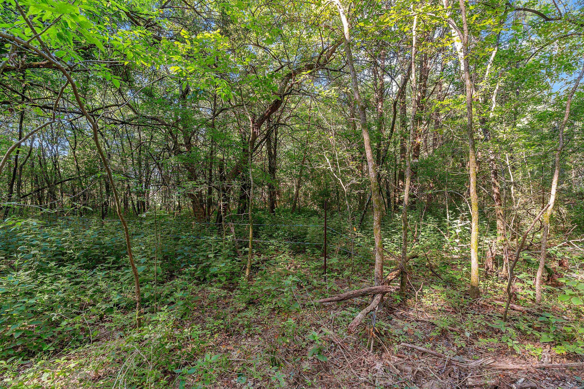 11536 Cainsville Road Lebanon, TN 37090 - Photo 10 of 21 Gallery Image 10